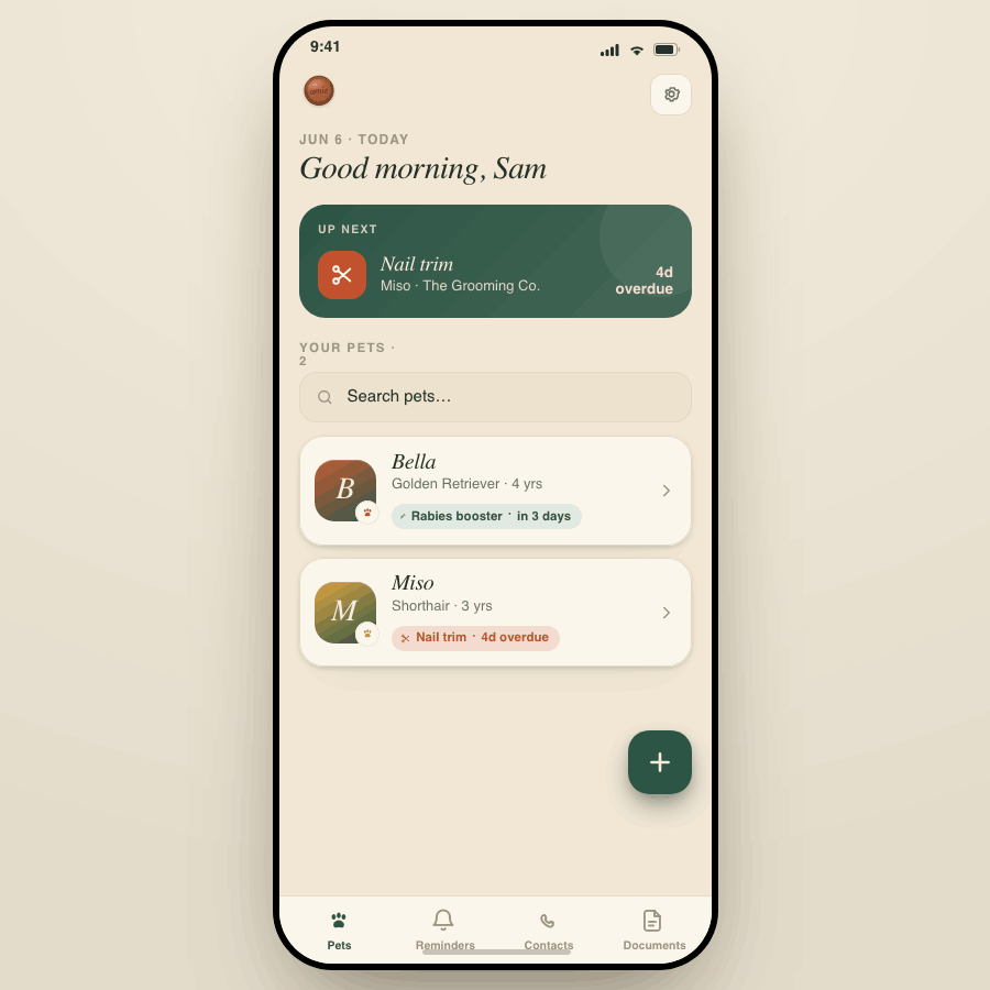 Amie home screen